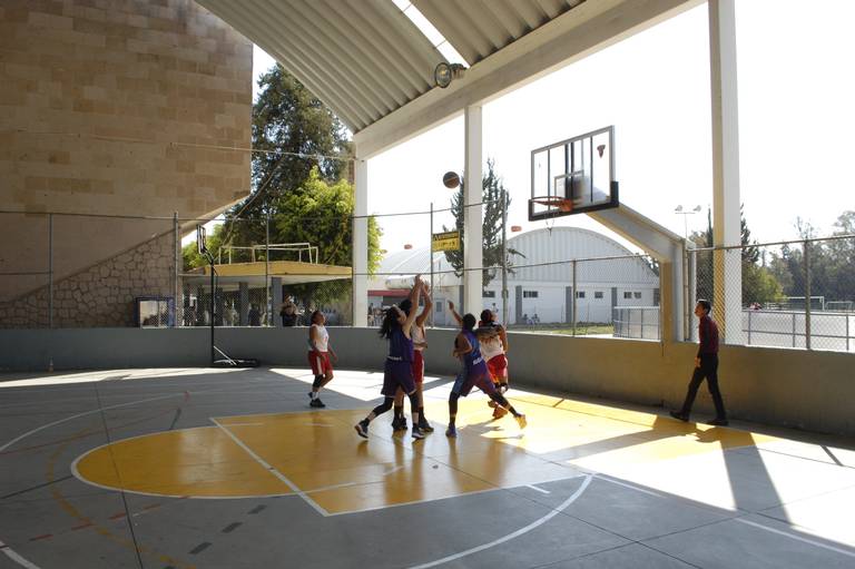 Qué falló en el equipo de basquetbol Aguacateros para que desapareciera? -  El Sol de Morelia