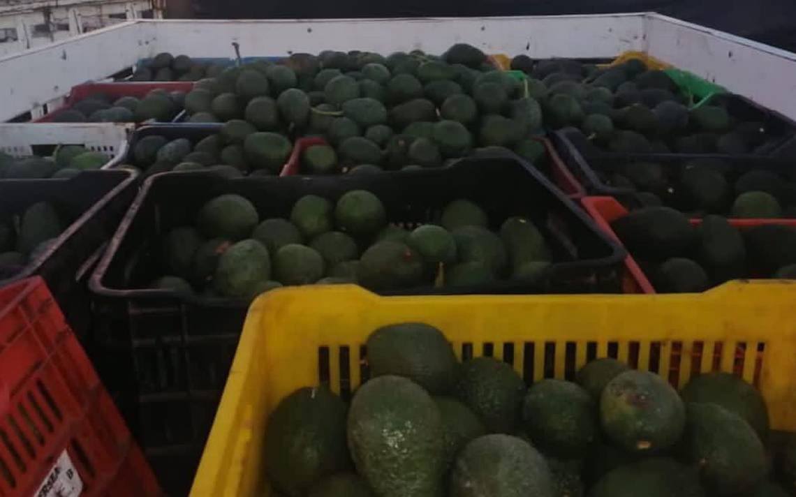 Aguacateros de Michoacán buscan mantenerse invictos - El Sol de Morelia