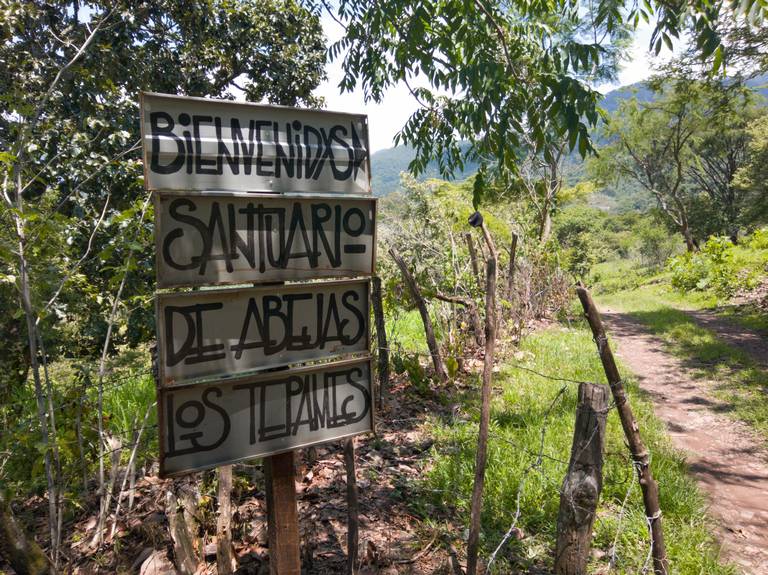 Aguacateros de Michoacán con bajas en primer juego ante Abejas de León