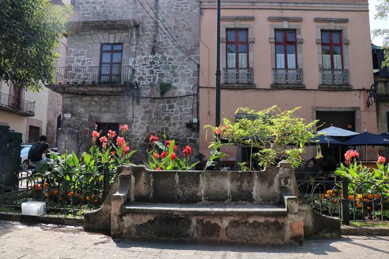 Por qué se llama El Jardín de Las Rosas? La historia de la tradicional zona  en Morelia - El Sol de Morelia | Noticias Locales, Policiacas, sobre  México, Michoacán y el Mundo