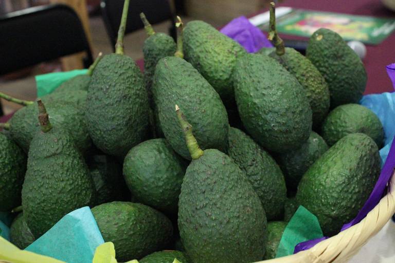 Michoacán produce 80% del aguacate de México