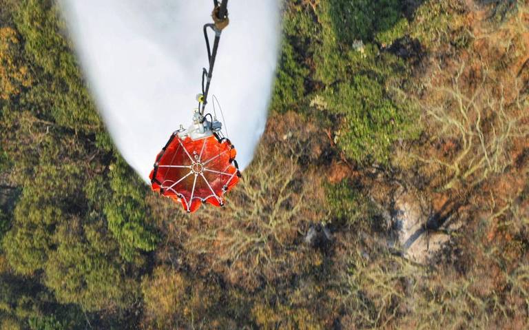 Firman decreto del área natural protegida, Cerro del Águila [Video] - El  Sol de Morelia | Noticias Locales, Policiacas, sobre México, Michoacán y el  Mundo