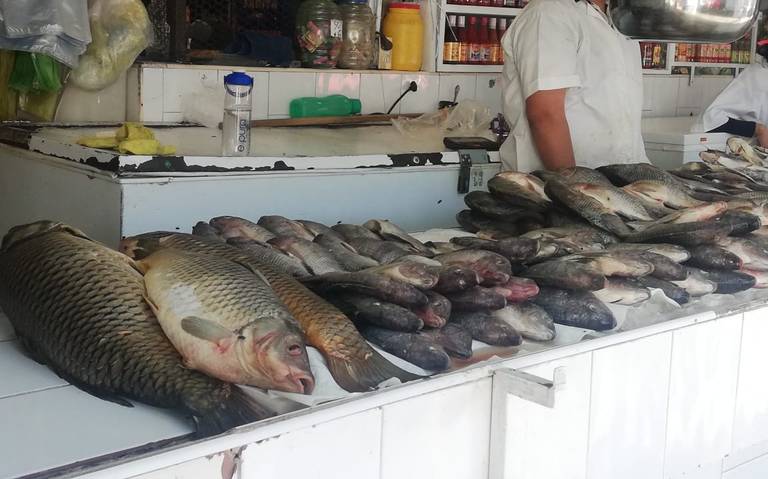 Listos los vendedores de pescados y mariscos para la cuaresma - El Sol de  Zamora | Noticias Locales, Policiacas, sobre México, Michoacán y el Mundo