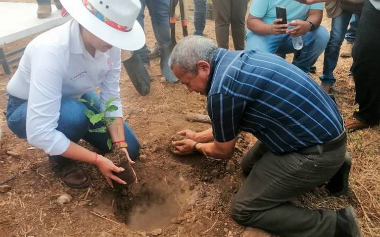 Aquila pone en marcha Jornada Nacional de Siembra de Árboles 2022 - El Sol  de Morelia | Noticias Locales, Policiacas, sobre México, Michoacán y el  Mundo