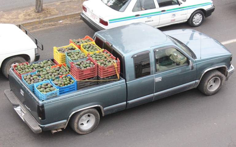 Aguacate alcanza precio histórico de 130 pesos el kilo en Michoacán – El  Financiero