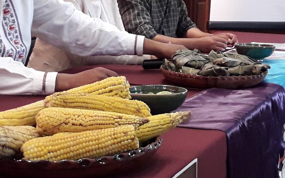 Anuncian festival del elote en Zacapu - El Sol de Morelia | Noticias  Locales, Policiacas, sobre México, Michoacán y el Mundo