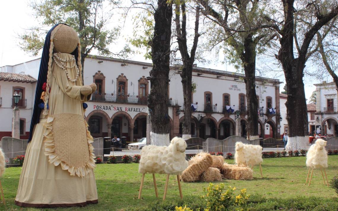 Fibra de coco para tus plantas - Diario de Querétaro  Noticias Locales,  Policiacas, de México, Querétaro y el Mundo