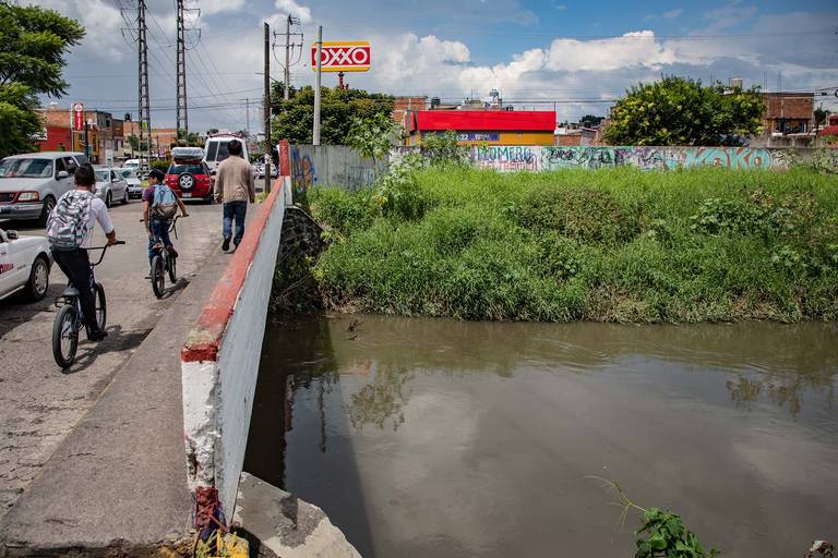 Retiran casi 10 mil toneladas de lirio y basura del Río Grande en Morelia -  El Sol de Morelia | Noticias Locales, Policiacas, sobre México, Michoacán y  el Mundo