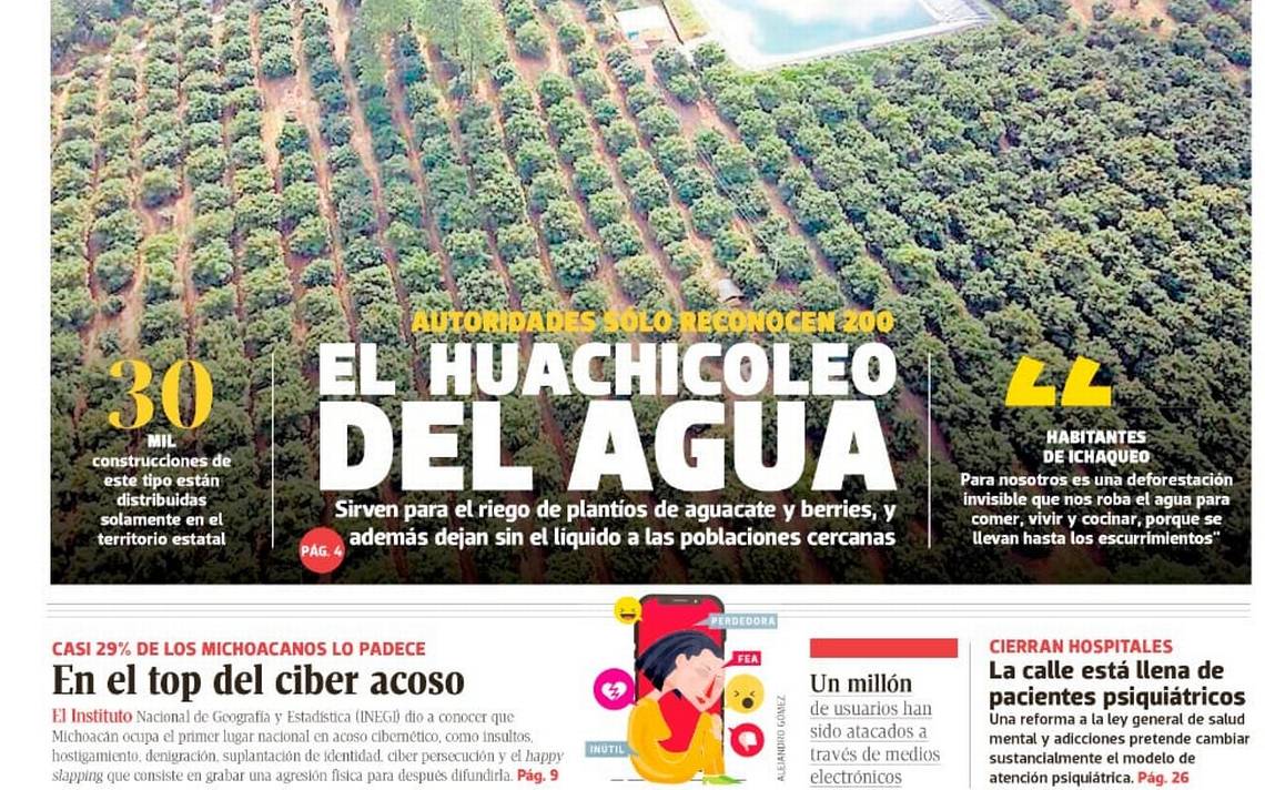 Ecocidio en Michoacán, quitan bosques y ponen aguacate